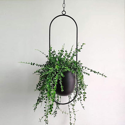 FloraFrame Hängepflanzer