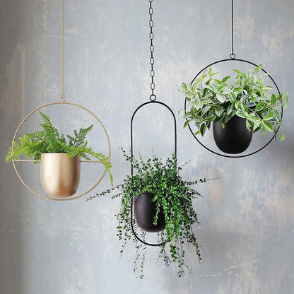 FloraFrame Hängepflanzer