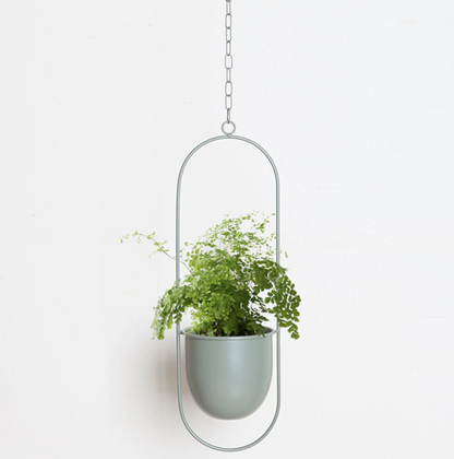 FloraFrame Hängepflanzer