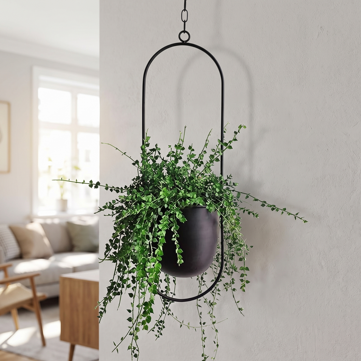 FloraFrame Hängepflanzer aus Eisen an der Wohnzimmerwand